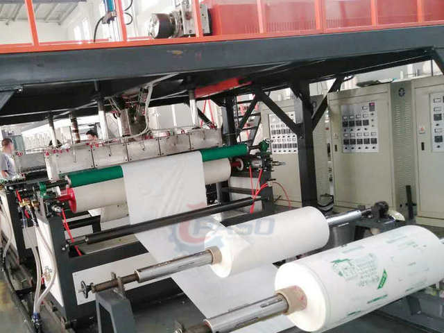 biodegradable <a href=http://www.pasomachinery.com/product/two-layers-bubble-film-machine.html target='_blank'>bubble film making machine</a>.jpg